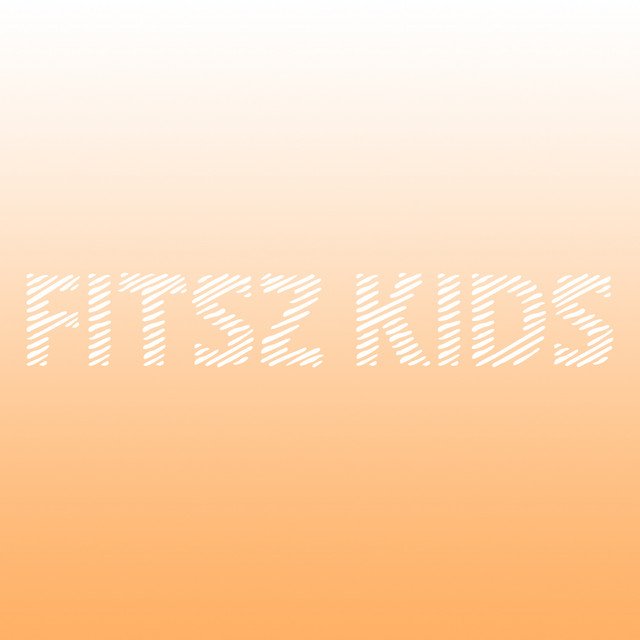 FITSZ KIDS als artieste in de The Music Experience!