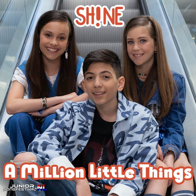 Cover van A Million Little Things