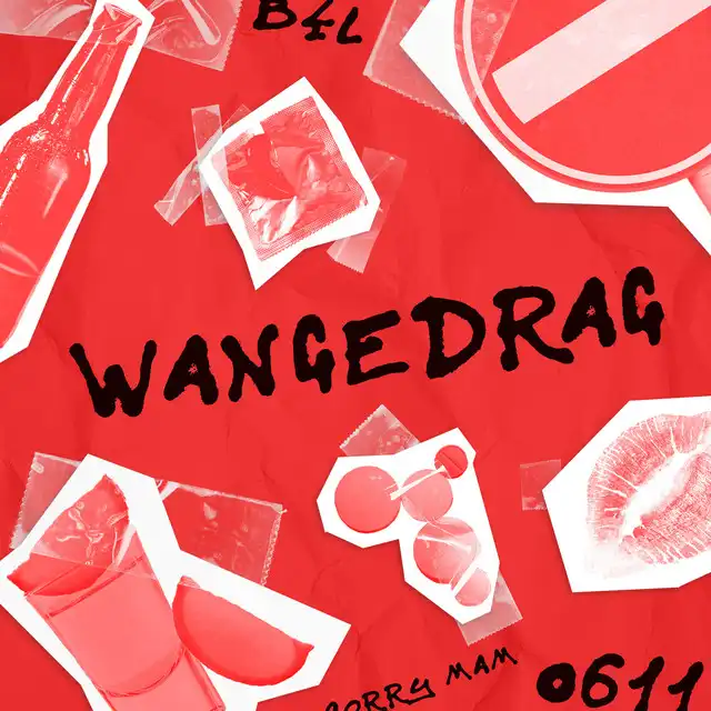 Cover van Wangedrag